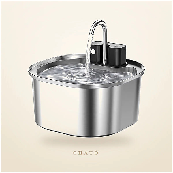 Fontaine à eau inox Chatô de 3 L, pompe sans fil, jet d'eau en fonctionnement