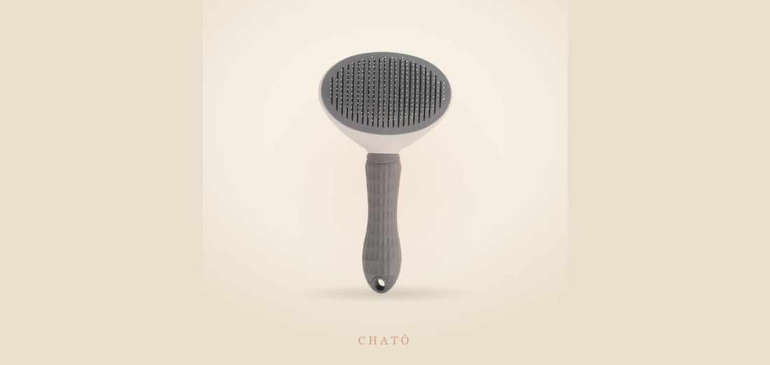 Brosse auto-nettoyante Chatô pour le brossage quotidien du chat