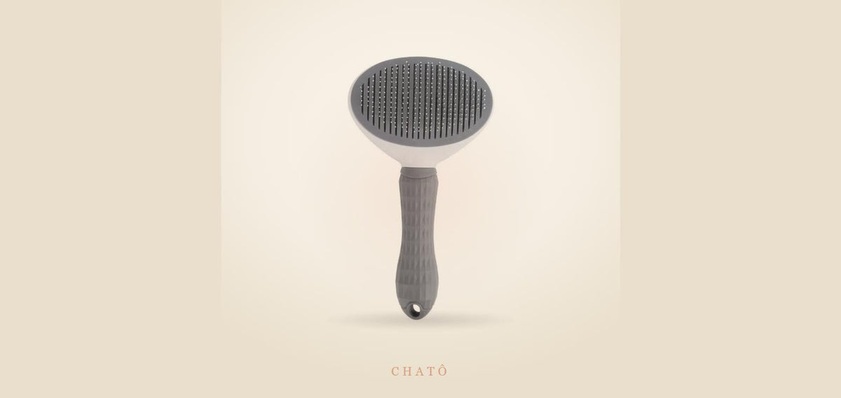 Brosse auto-nettoyante Chatô pour le brossage quotidien du chat