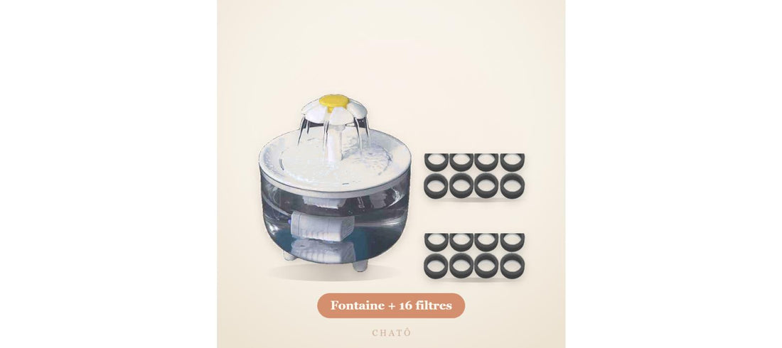 Pack Hydratation Chatô : fontaine 1,2 L et filtres de rechange