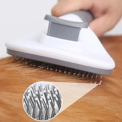 Brosse auto-nettoyante en cours d'utilisation