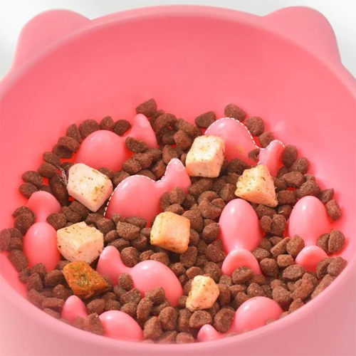 Gamelle anti-glouton remplie de croquettes