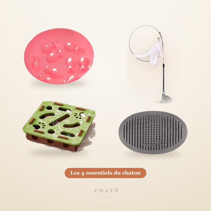 Kit Chaton Chatô : gamelle anti-glouton, jouet à plumes, jouet puzzle et brosse auto-nettoyante