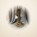 Tour de jeu Chatô : colonne sisal, plateau à balles et plume suspendue
